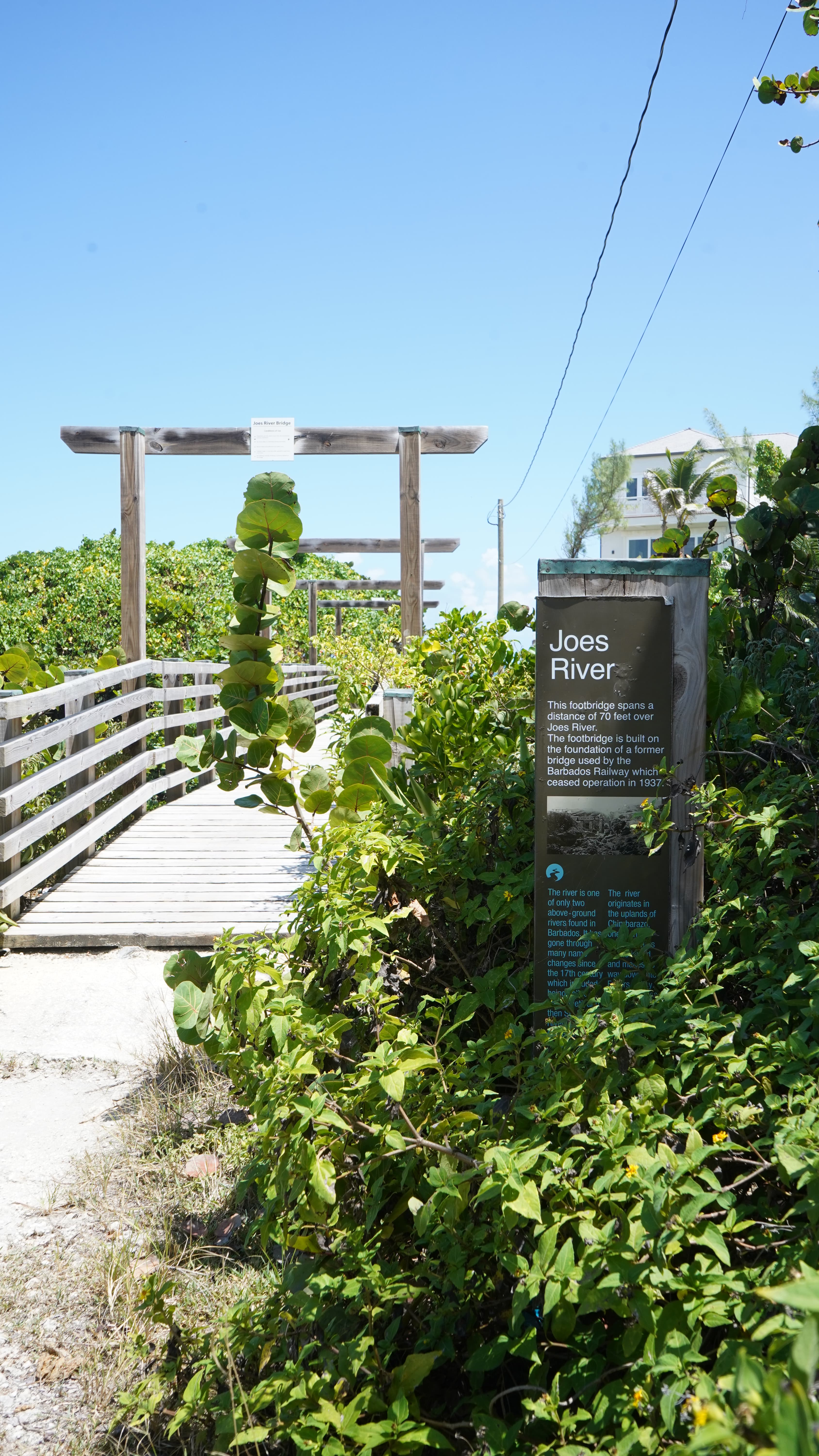 Bridge 1